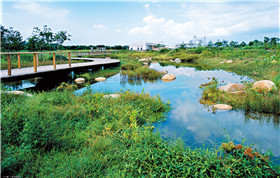 濕地公園